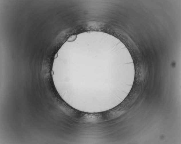 X0000116420706201001191450