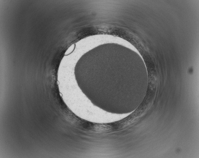 X0000116420707201001191450
