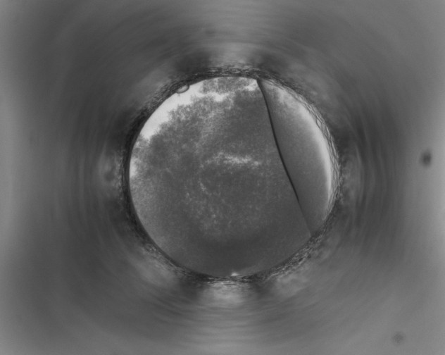 X0000116420708201001191450