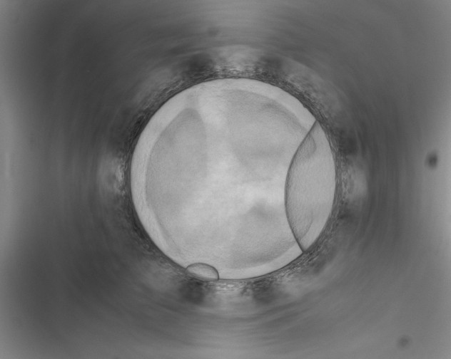 X0000116420709201001191450