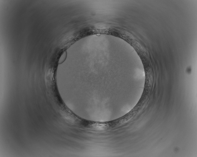 X0000116420711201001191450