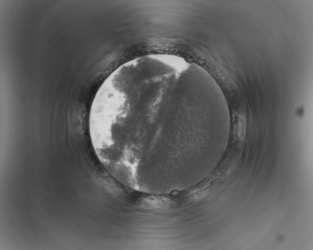 X0000116420712201001191450