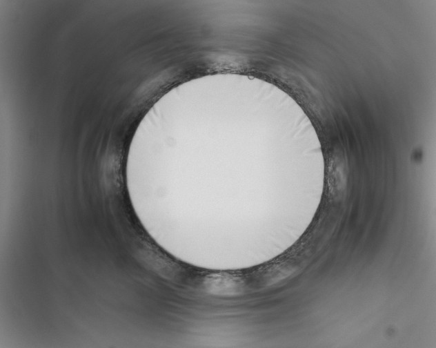 X0000116420714201001191450