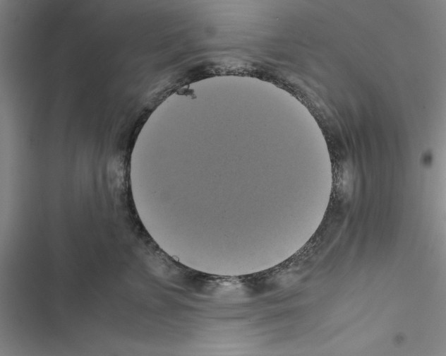 X0000116420715201001191450