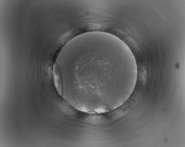 X0000116420716201001191450