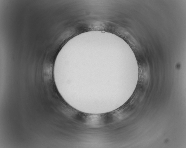 X0000116420717201001191450