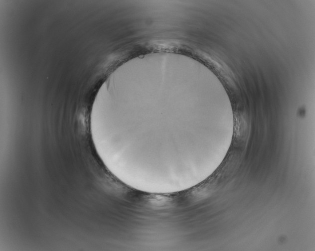 X0000116420718201001191450