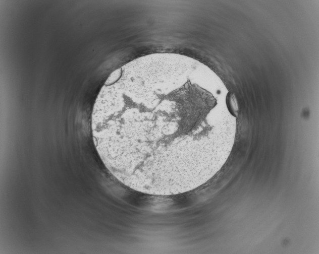 X0000116420719201001191450