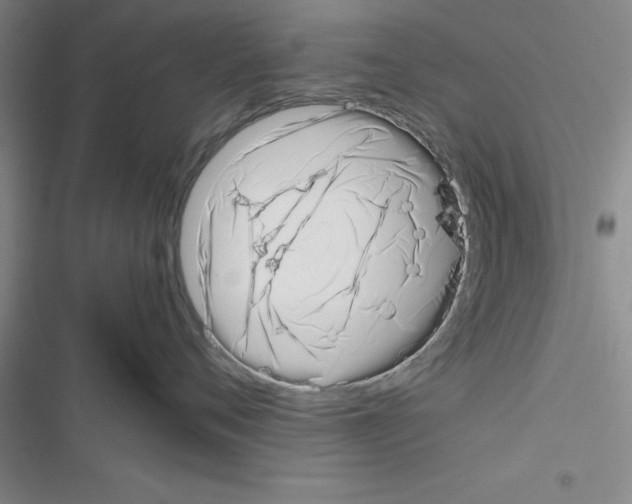 X0000116420720201001191450