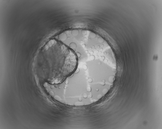 X0000116420721201001191449
