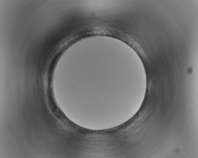 X0000116420722201001191449