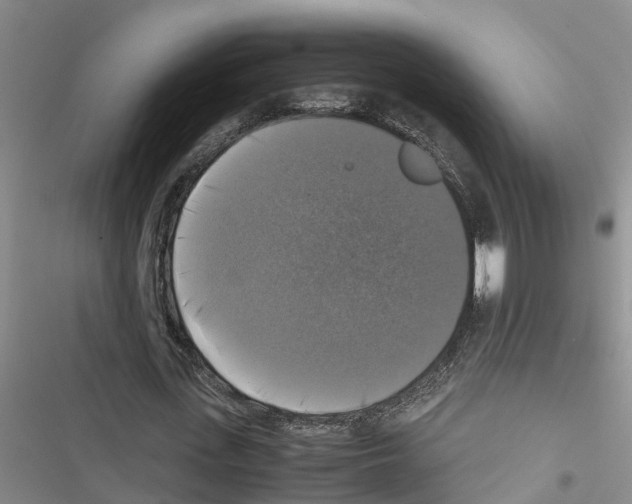 X0000116420723201001191449