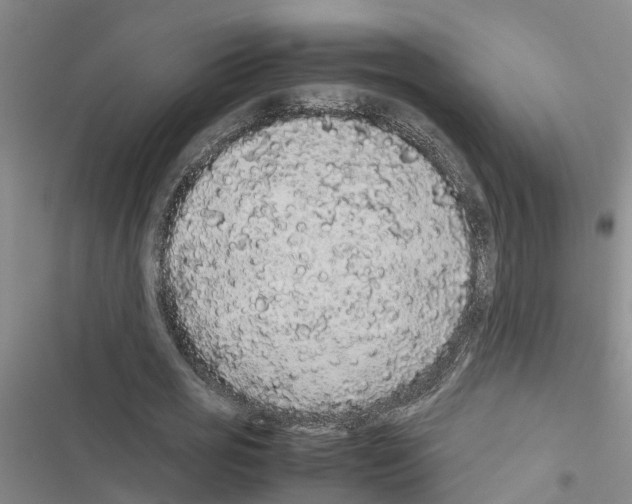 X0000116420725201001191449