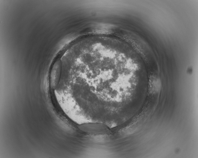 X0000116420726201001191449