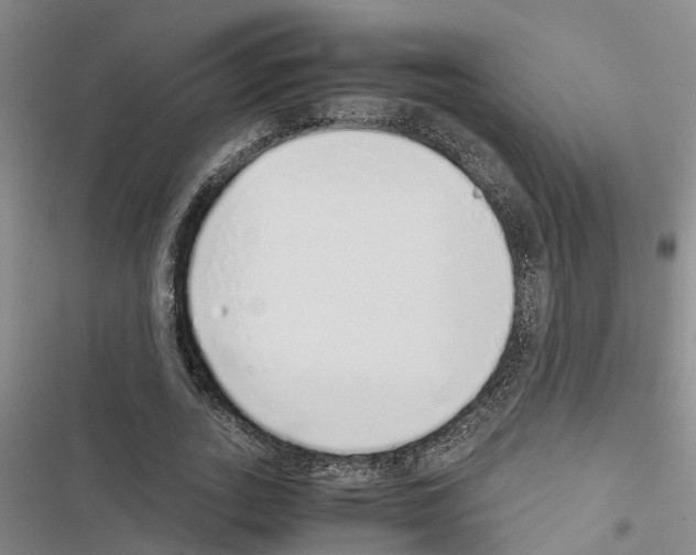 X0000116420727201001191449