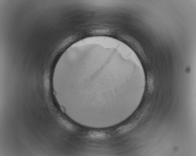 X0000116420729201001191449