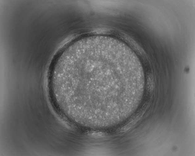 X0000116420730201001191449