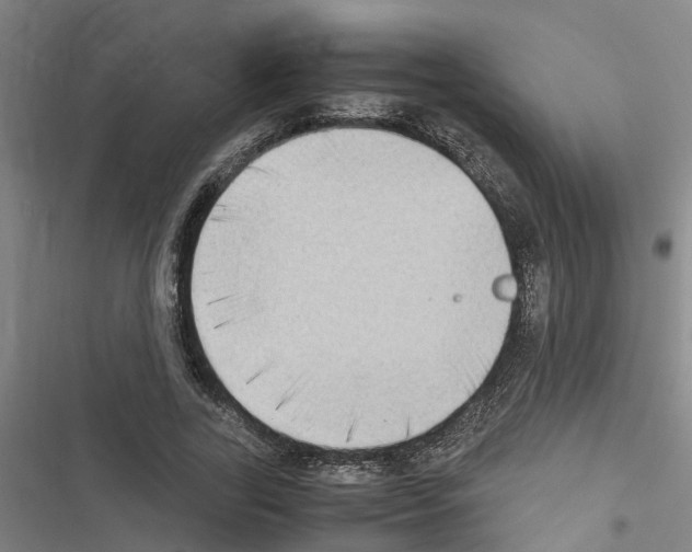 X0000116420731201001191449