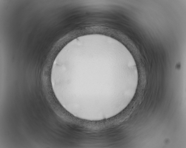 X0000116420733201001191449