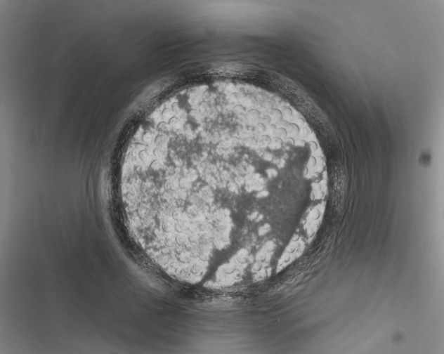 X0000116420734201001191449