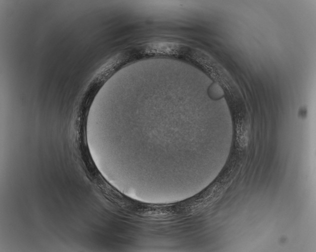 X0000116420735201001191449