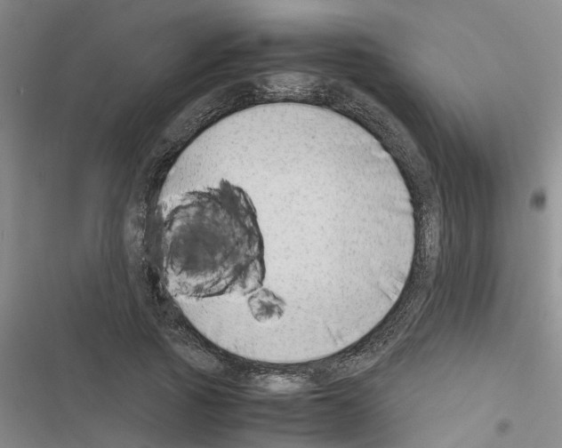 X0000116420737201001191449