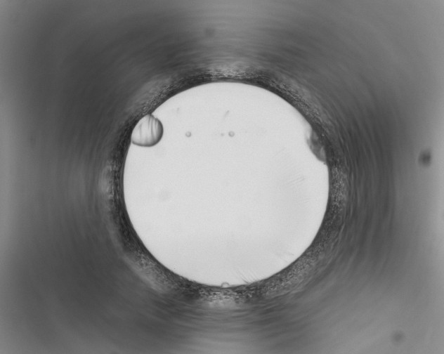 X0000116420738201001191449