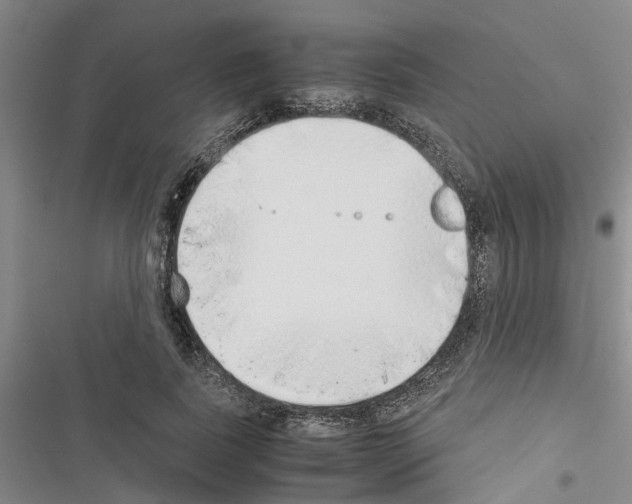 X0000116420739201001191449