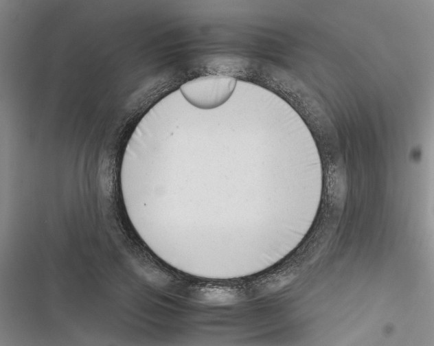 X0000116420741201001191449