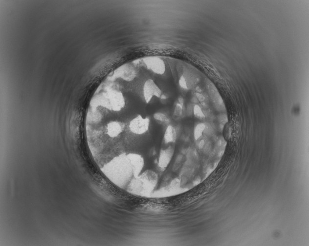X0000116420742201001191449