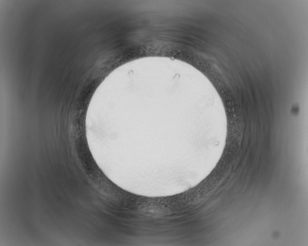 X0000116420743201001191449