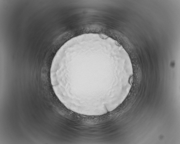 X0000116420745201001191449