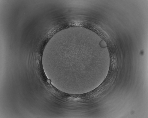 X0000116420747201001191449