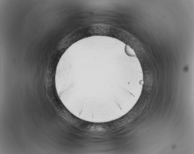X0000116420751201001191449