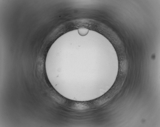 X0000116420753201001191450