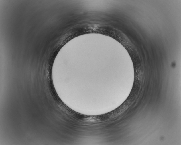 X0000116420754201001191450
