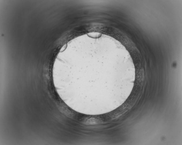 X0000116420755201001191450