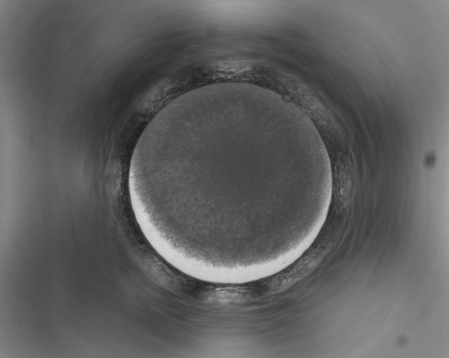 X0000116420758201001191450