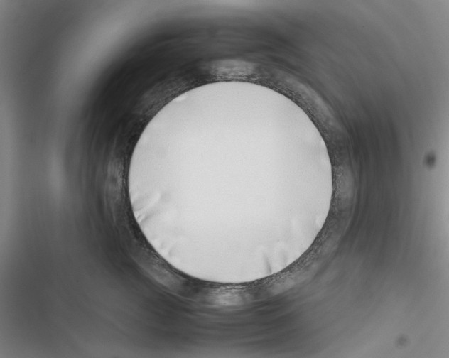 X0000116420761201001191450