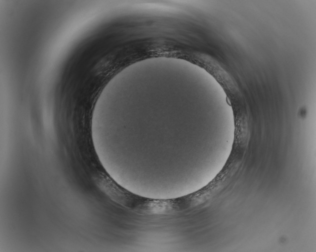 X0000116420762201001191450