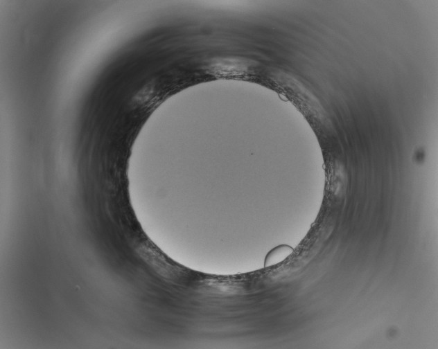 X0000116420763201001191450