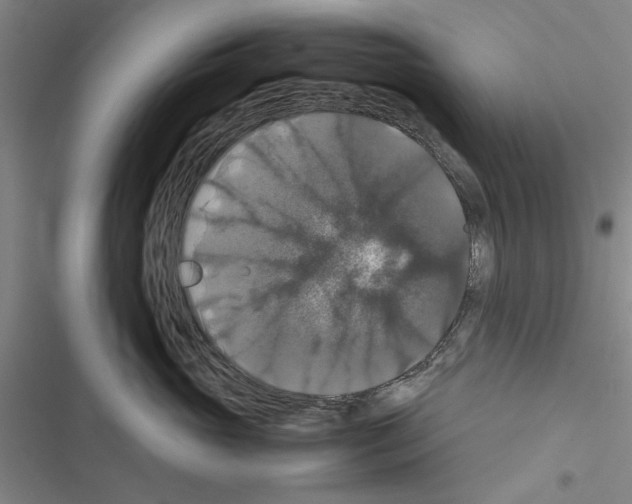 X0000116420765201001191450