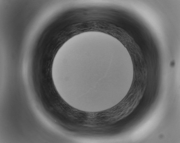 X0000116420766201001191450