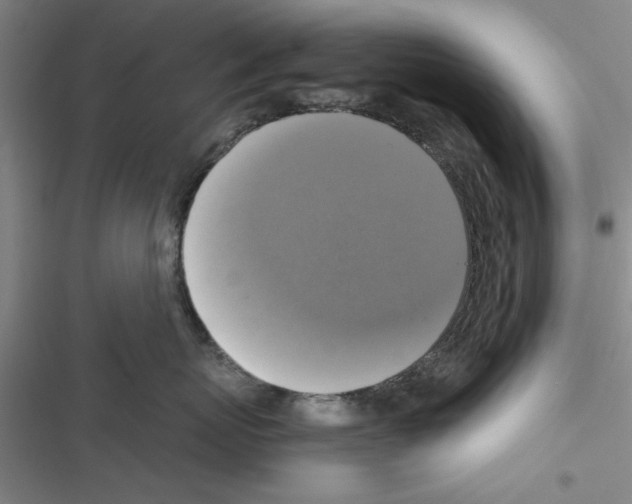 X0000116420767201001191450