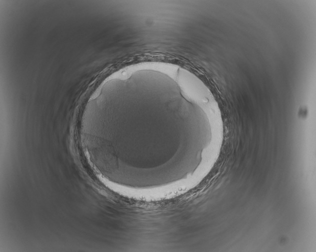 X0000116420769201001191449