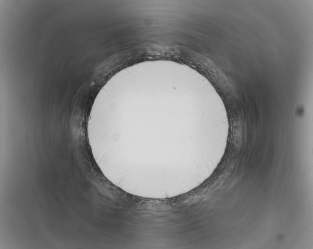 X0000116420770201001191449