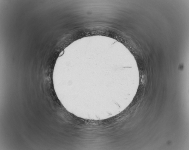 X0000116420771201001191449
