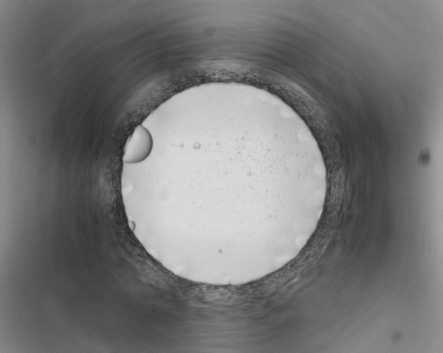 X0000116420774201001191449
