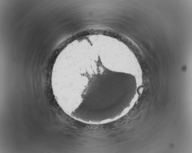 X0000116420775201001191449