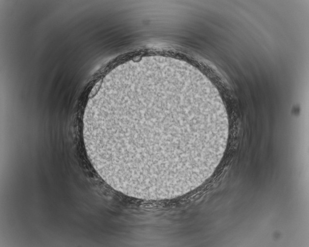 X0000116420776201001191449